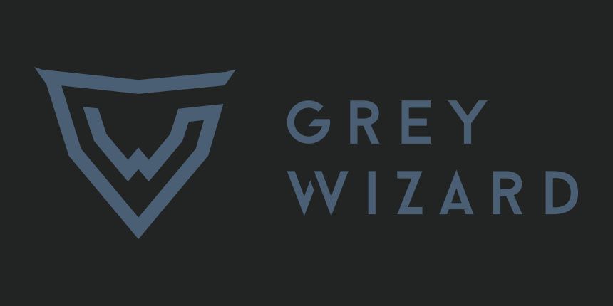 gray_wizard_ddos