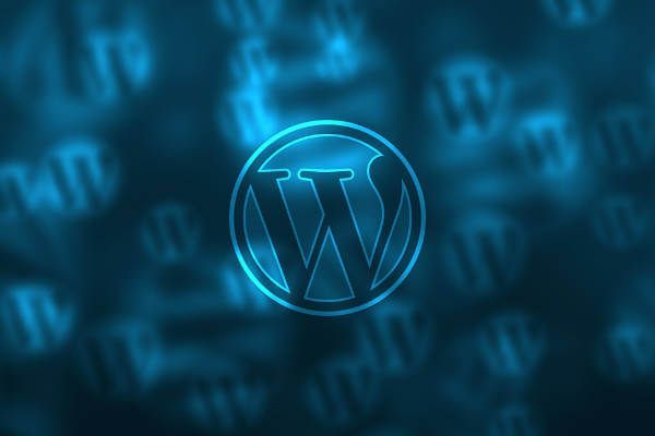 Luki w RODO/GDPR dla Wordpress