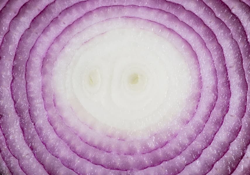onionshare tor