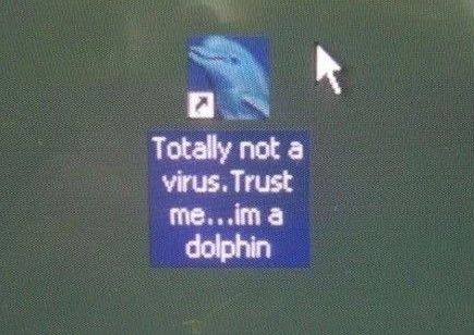 jestem delfinem